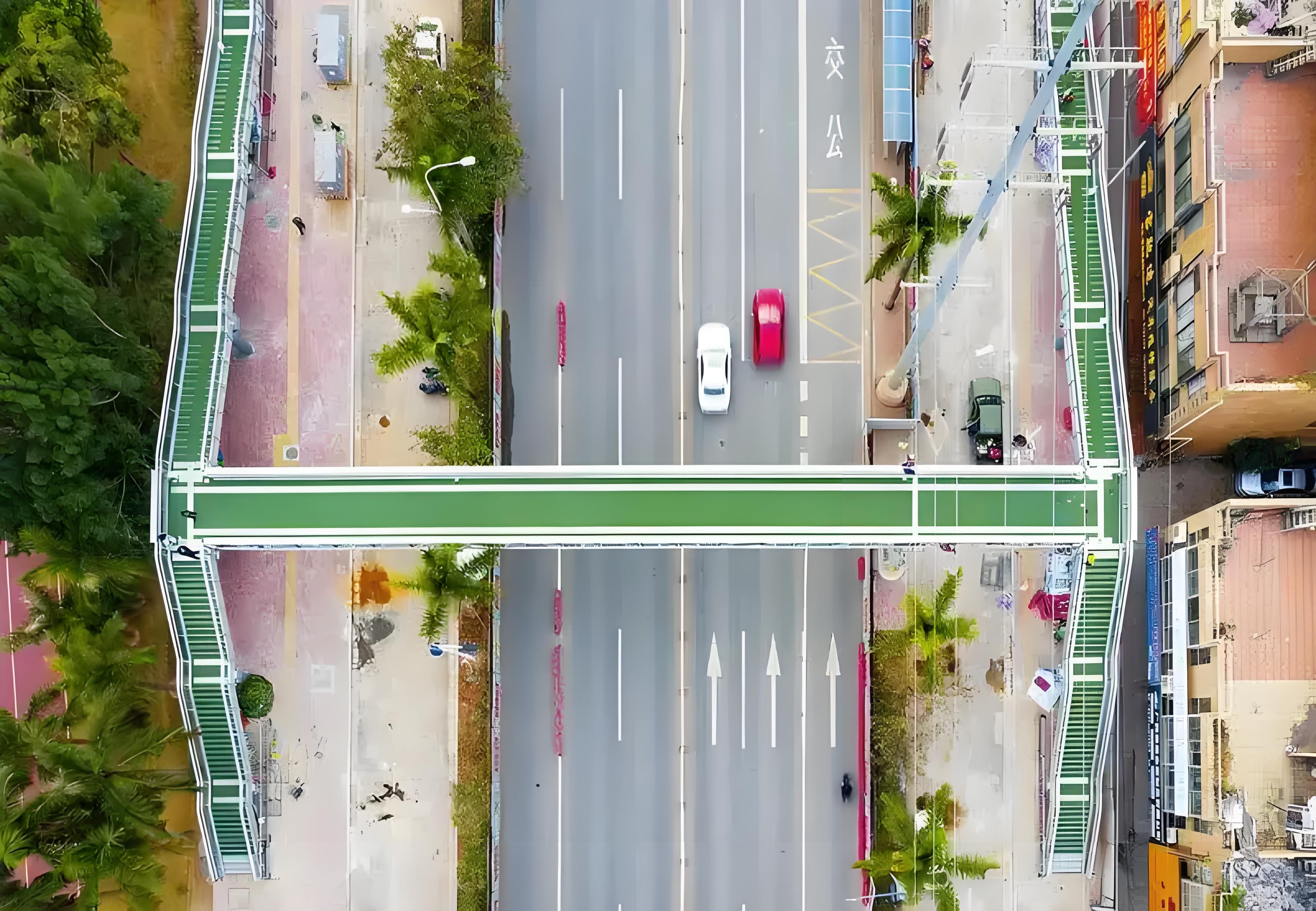 Overpass spanning the road