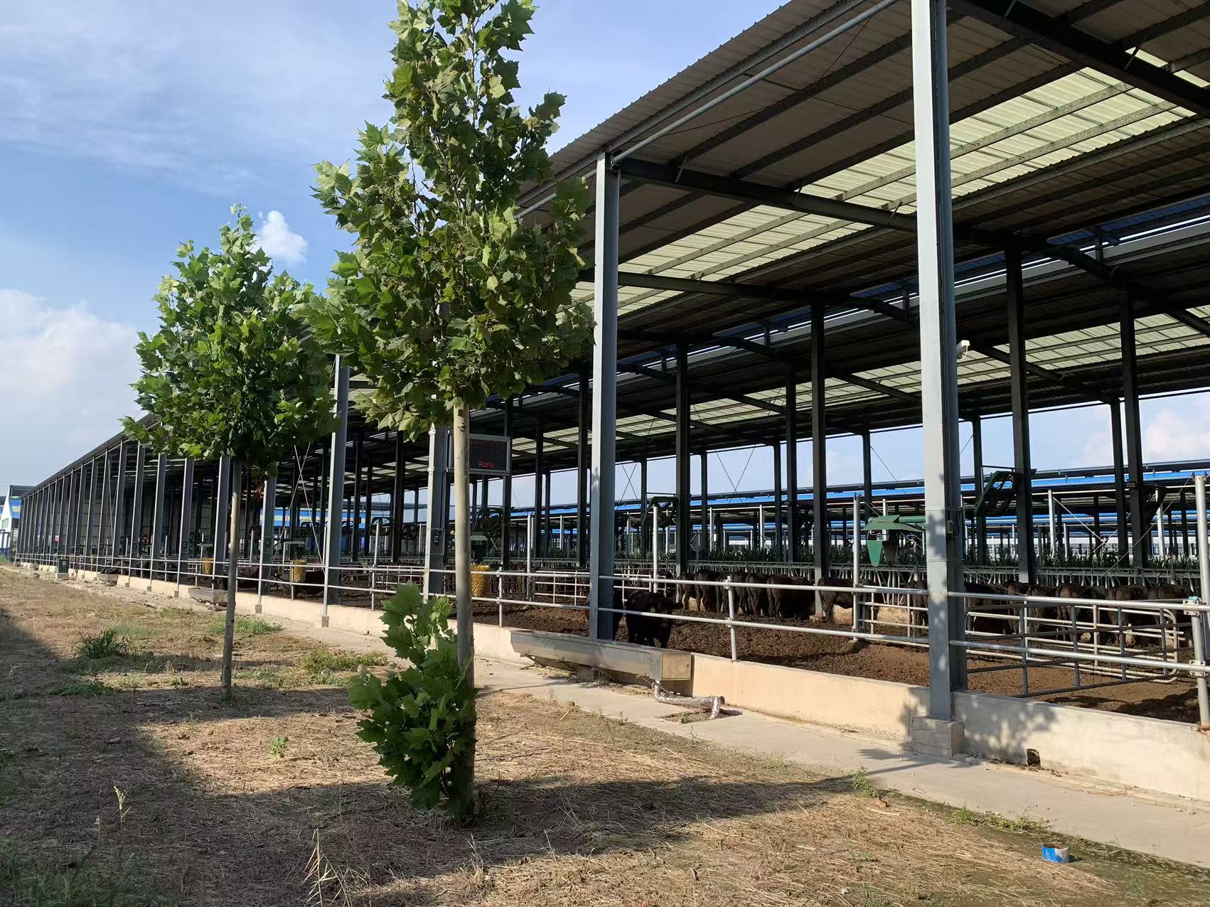 Exterior view of the cattle farm