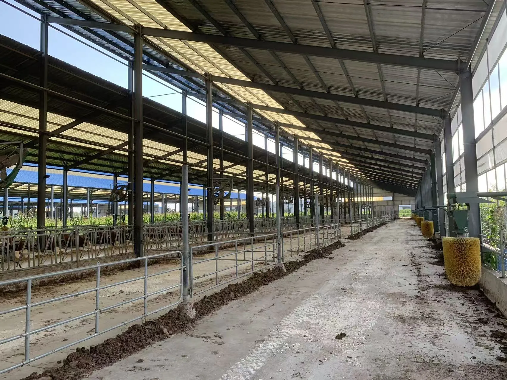 Livestock steel structure operating smoothly