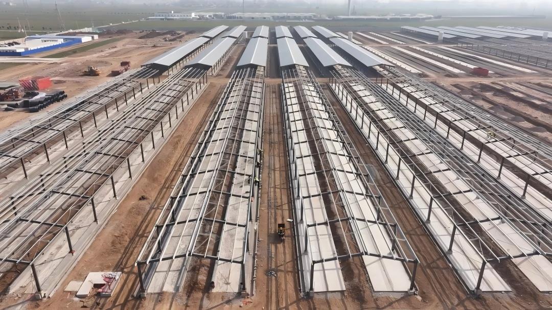 Clear-span galvanized steel portal frame interior showing bolted moment connections and purlins